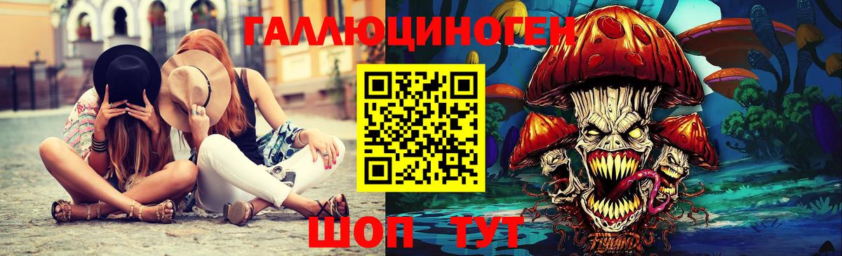 Псилоцибиновые грибы Psilocybine cubensis Севастополь